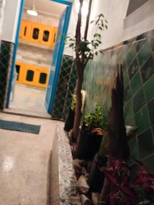 Coup De Coeur A Sidi Bou Said Villa Екстериор снимка